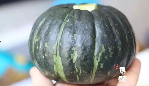 小孩吃贝贝瓜还是板栗瓜,小孩的夏日美味选择