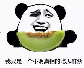 限定慕斯吃瓜群众,揭秘限定慕斯背后的吃瓜群众